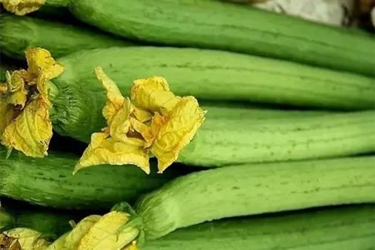 地瓜网吃瓜视频下载安装,轻松获取热门吃瓜内容