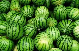 pknnn吃瓜群官网,官方揭秘背后的热门网络社区