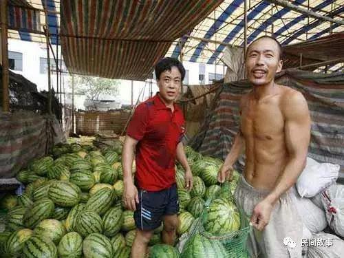 金乡网红吃瓜事件真相,真相大白，网络舆论的力量与反思