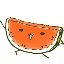 吃瓜网图标,趣味图标背后的故事与魅力