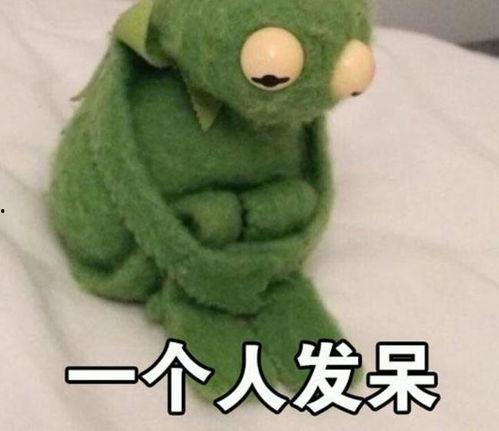 网红青蛙吃瓜表情包