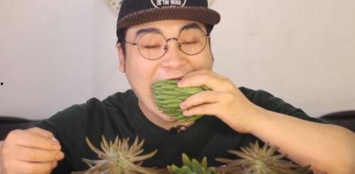 吃瓜小哥网红是谁啊,揭秘“吃瓜小哥”网红背后的故事