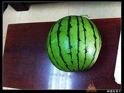 17吃瓜官网怎么进去,轻松进入，畅享娱乐资讯之旅