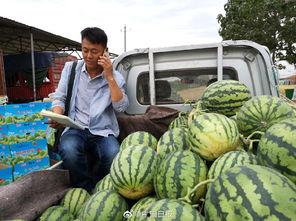徽县网红大宝吃瓜事件,揭秘网络舆论的风暴与真相