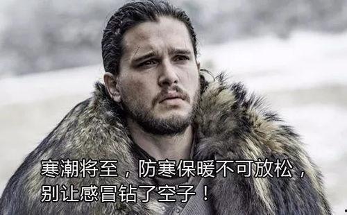 吃瓜的雪诺网红必须死