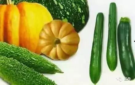 网调吃瓜,揭秘网络热议背后的真相与笑料  第2张