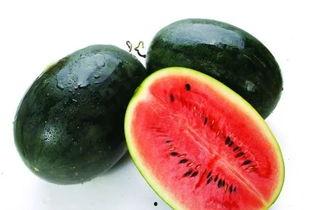 51cg2吃瓜官网,揭秘娱乐圈最新热点，带你畅游八卦海洋  第2张