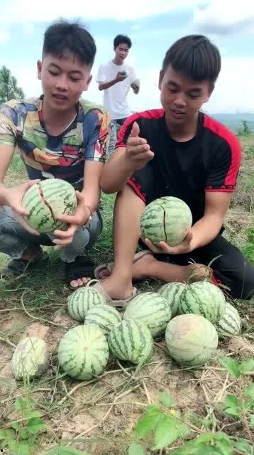 网红吃瓜被打,网络暴力引发社会关注  第2张