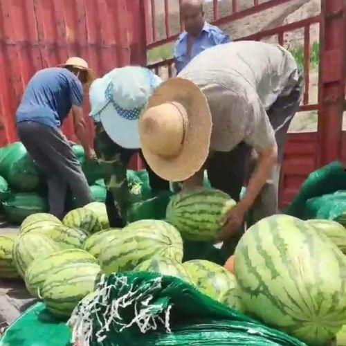 甘肃康县网红吃瓜事件