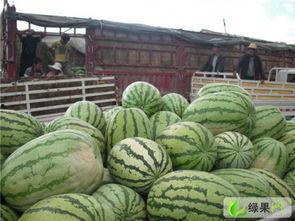 甘肃康县网红吃瓜事件  第3张