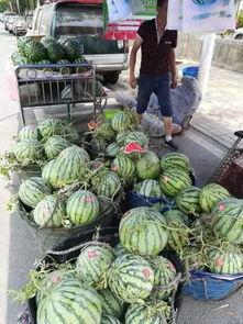 和县网红吃瓜事件  第2张