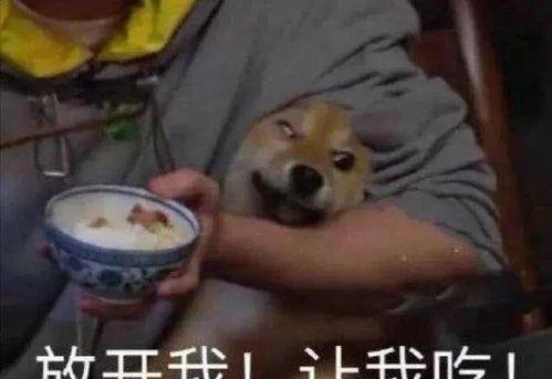 吃瓜最新事件网红集合,吃瓜群众聚焦最新事件集结号  第3张