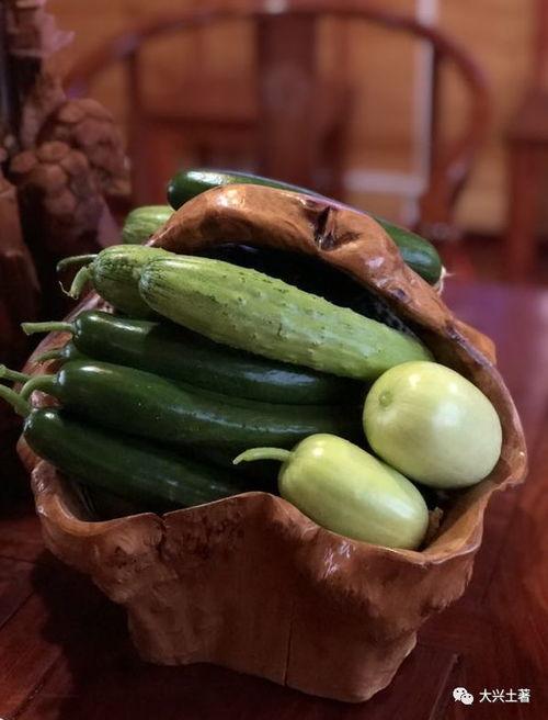 吃网红的瓜在哪里可以看,全网热议的“吃网红瓜”热门平台大盘点  第2张