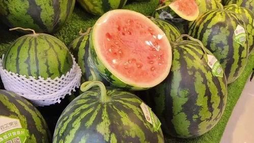 每日吃瓜网,揭秘娱乐圈最新热点，带你畅游八卦海洋  第1张