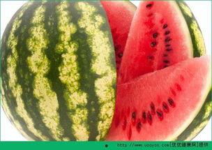 每日吃瓜网,揭秘娱乐圈最新热点，带你畅游八卦海洋  第2张