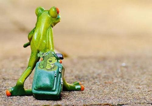 网红青蛙吃瓜让买东西,带你领略直播购物新风尚  第1张