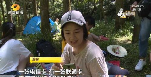 网红刘二萌吃瓜视频在线,揭秘网红圈幕后故事