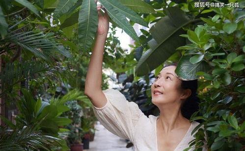 吃瓜事件网红楠楠,吃瓜事件背后的真相与反思  第2张