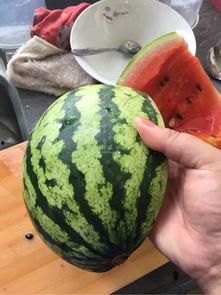 工商爆料网吃瓜,揭秘娱乐圈最新吃瓜事件,明星隐私大曝光! 第2张 工商爆料网吃瓜,揭秘娱乐圈最新吃瓜事件,明星隐私大曝光! 第2张